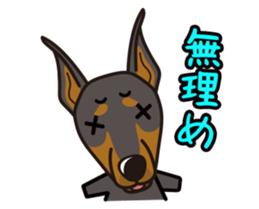 iinu - Doberman sticker #4056269