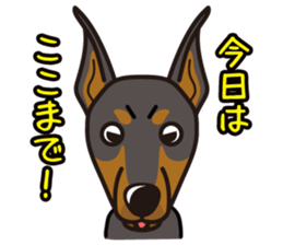 iinu - Doberman sticker #4056270