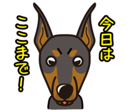 iinu - Doberman sticker #4056270
