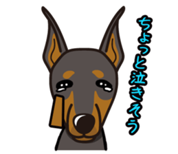 iinu - Doberman sticker #4056274