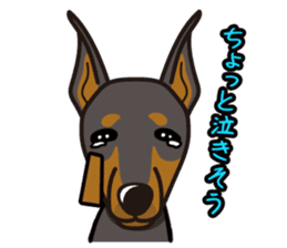iinu - Doberman sticker #4056274