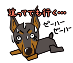 iinu - Doberman sticker #4056276