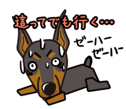 iinu - Doberman sticker #4056276