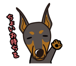 iinu - Doberman sticker #4056282