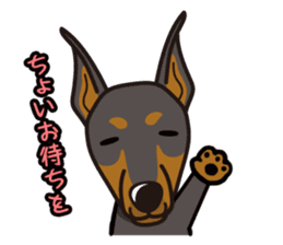iinu - Doberman sticker #4056282