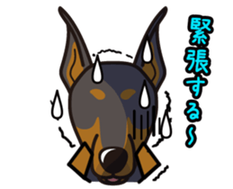 iinu - Doberman sticker #4056285