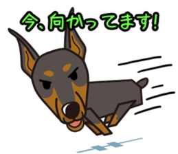 iinu - Doberman sticker #4056287
