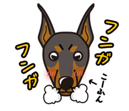 iinu - Doberman sticker #4056289
