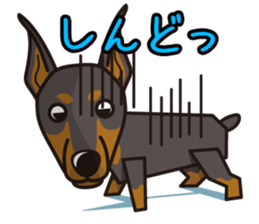 iinu - Doberman sticker #4056292
