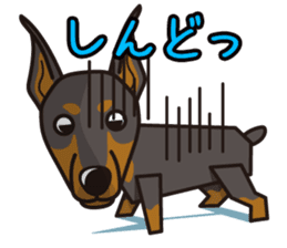 iinu - Doberman sticker #4056292