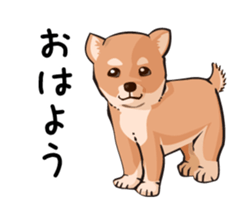 mini-Shiba Inu sticker #4056776