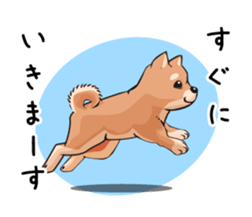mini-Shiba Inu sticker #4056779