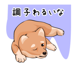 mini-Shiba Inu sticker #4056782