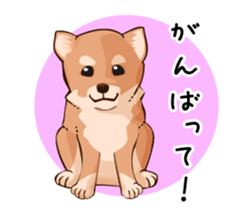 mini-Shiba Inu sticker #4056785
