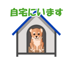 mini-Shiba Inu sticker #4056788