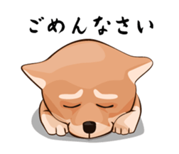 mini-Shiba Inu sticker #4056789