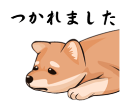 mini-Shiba Inu sticker #4056790