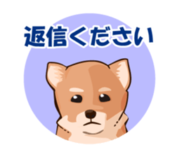 mini-Shiba Inu sticker #4056791
