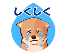 mini-Shiba Inu sticker #4056792