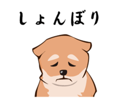 mini-Shiba Inu sticker #4056795