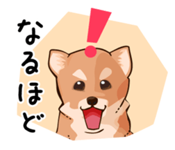 mini-Shiba Inu sticker #4056796