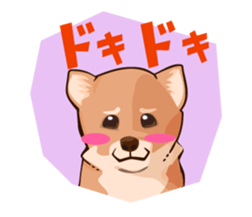 mini-Shiba Inu sticker #4056798