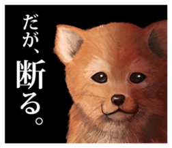 mini-Shiba Inu sticker #4056815