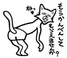 Cat without the name sticker #4057705