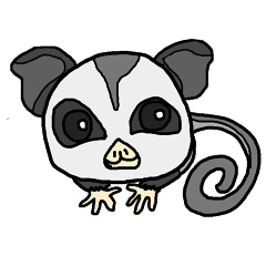 Little Sugar Glider