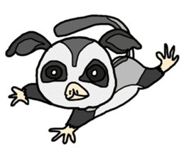 Little Sugar Glider sticker #4065257