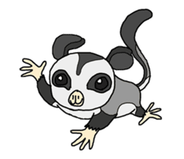 Little Sugar Glider sticker #4065258