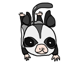 Little Sugar Glider sticker #4065259