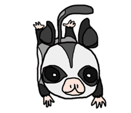 Little Sugar Glider sticker #4065259