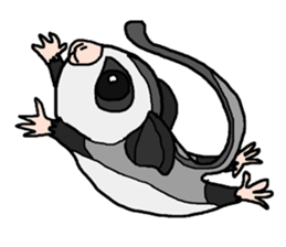 Little Sugar Glider sticker #4065260