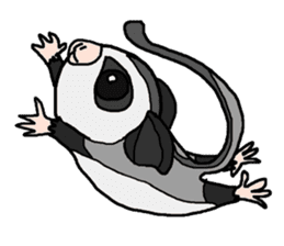 Little Sugar Glider sticker #4065260