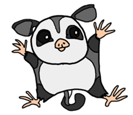 Little Sugar Glider sticker #4065262