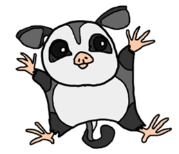 Little Sugar Glider sticker #4065262