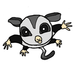 Little Sugar Glider sticker #4065263