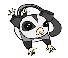 Little Sugar Glider sticker #4065265