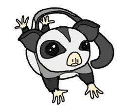 Little Sugar Glider sticker #4065265