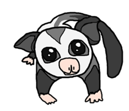 Little Sugar Glider sticker #4065266