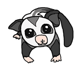 Little Sugar Glider sticker #4065266