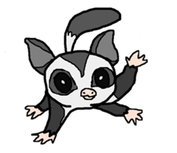 Little Sugar Glider sticker #4065268