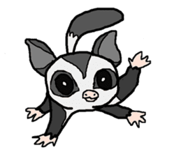 Little Sugar Glider sticker #4065268