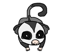 Little Sugar Glider sticker #4065269
