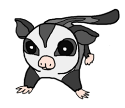 Little Sugar Glider sticker #4065270