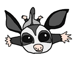 Little Sugar Glider sticker #4065271