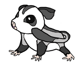 Little Sugar Glider sticker #4065272
