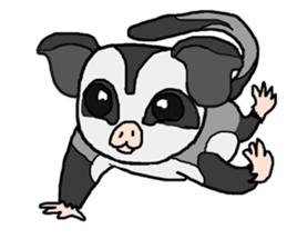 Little Sugar Glider sticker #4065273