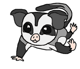 Little Sugar Glider sticker #4065273